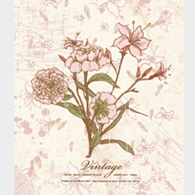 retro-floral-illustration-220