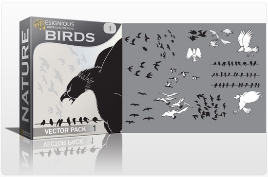 vector birds 1 Add Delicate Vector Birds & Butterflies to Your Spring Design Projects 