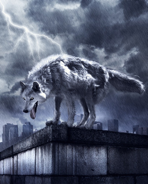 wolf photo manipulation photoshop tutorial Photoshop Tutorials Roundup   January 2012