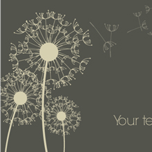 dandelion-illustration-220