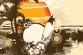 summer-illustration_220