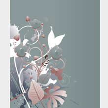 floral-illustration-220