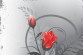 pixel77-free-vector-rose-illustration-220