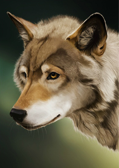 Photoshop tutorials digital painting 18 20 Photoshop Tutorials for Improving Your Digital Painting Skills