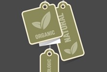 pixel77-free-vector-eco-tags-220