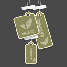 pixel77-free-vector-eco-tags-220