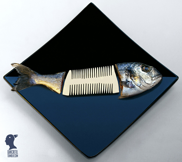 Interview inspiring eco artist Dan Cretu 11 Interview with Inspiring Eco Artist Dan Cretu