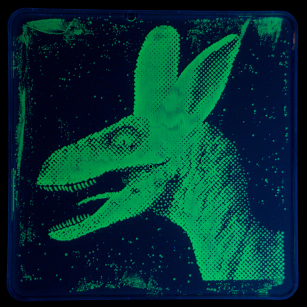 Bacteriography unique art microbiologist Zachary Copfer 5 Bacteriography   The Unique Art of Microbiologist Zachary Copfer