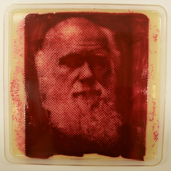 Bacteriography unique art microbiologist Zachary Copfer 6 Bacteriography   The Unique Art of Microbiologist Zachary Copfer