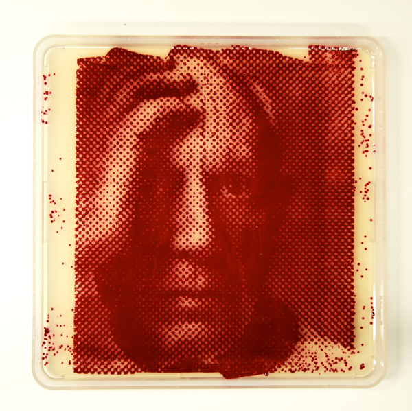 Bacteriography unique art microbiologist Zachary Copfer 7 Bacteriography   The Unique Art of Microbiologist Zachary Copfer
