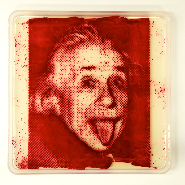 Bacteriography unique art microbiologist Zachary Copfer 8 Bacteriography   The Unique Art of Microbiologist Zachary Copfer