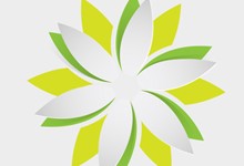 pixel77-free-vector-origami-flower-1102-220