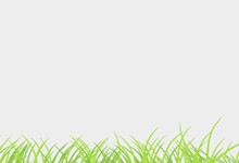 pixel77-free-vector-grass-field-0215-220