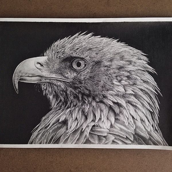 Hyperrealistic Graphite Drawings by Monica Lee Pixel77